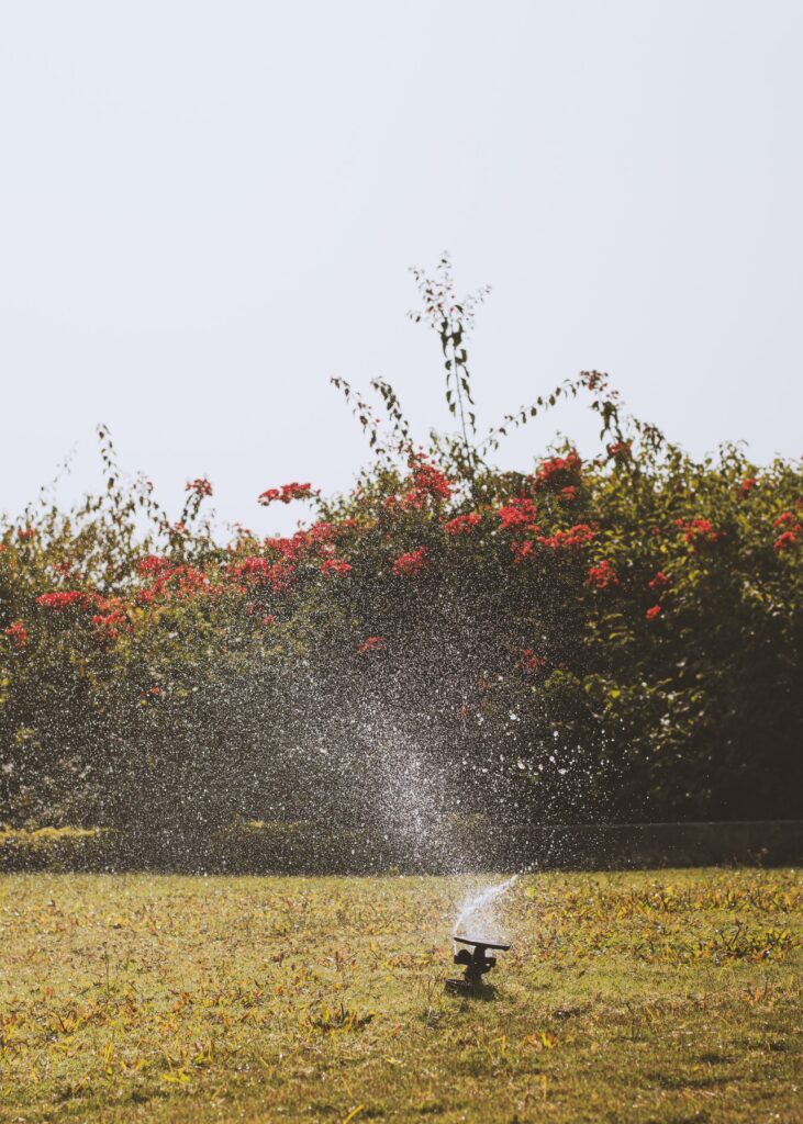 Sprinkler System, Patio & Walkways